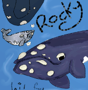 drawing of Rocky.